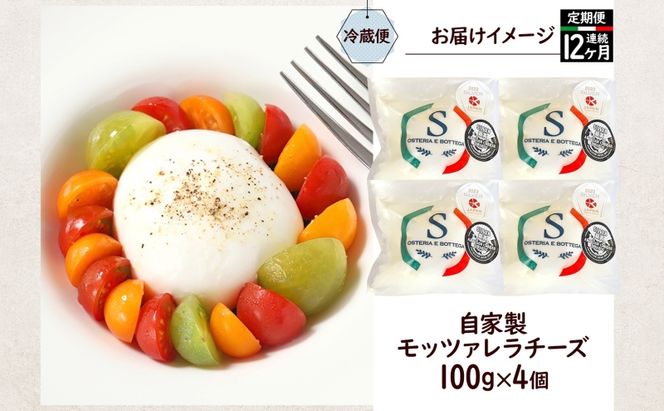  12ヶ月定期便 出来立て新鮮 モッツァレラチーズ100g  ×  4個セット 茅ケ崎産 加工食品 乳製品 チーズ 出来立て 神奈川県産 モッツァレラ 手作り Osteria e Bottega S 神奈川県 湘南 茅ケ崎 フレッシュチーズ  おつまみ ピザ
