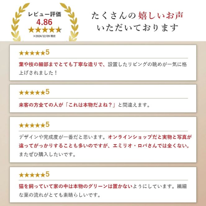 アートフラワー エミリオ・ロバ ギャザリングカラテア TTTTA06800