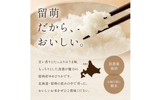 米 【6ヵ月定期便】R8年産米 北海道南るもい産　ゆめぴりか(白米)5kg 全6回 R011-024-R8