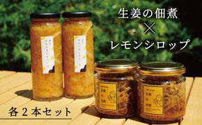 レモンシロップと佃煮セット（各2個）                                                