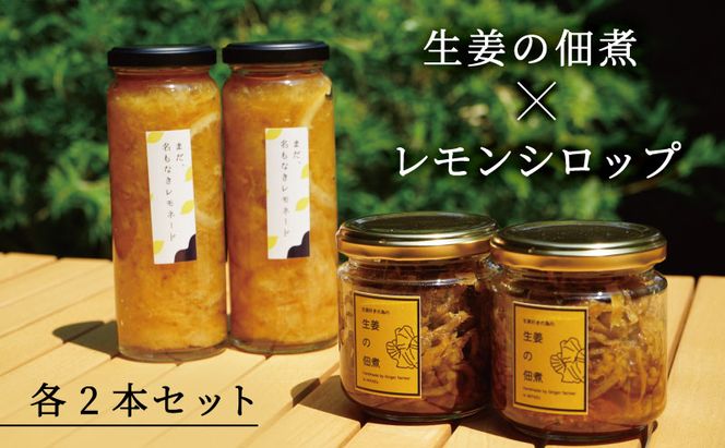 レモンシロップと佃煮セット（各2個）                                                