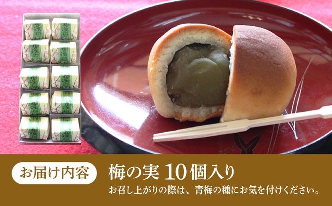 【老舗の菓子屋】築上銘菓「 梅の実 」10 個《築上町》【有限会社 御菓子司 鹿の子】[ABAC018]