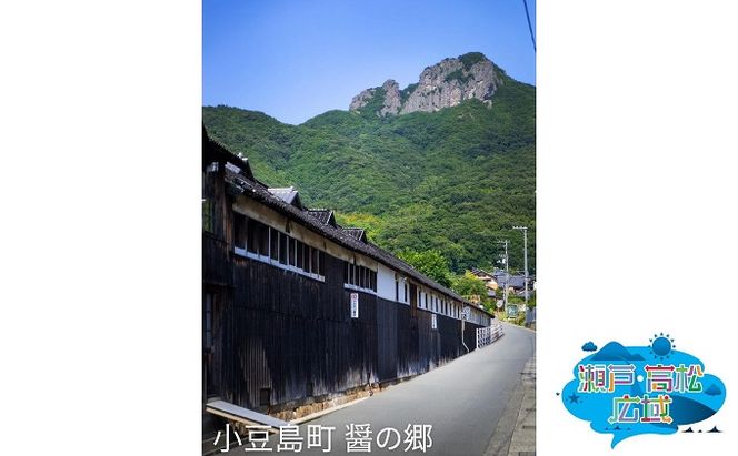 【 小豆島 】「瀬戸・たかまつネットワーク」貸切クルーザーで巡る香川県（直島・豊島方面）2日間 チケット 旅行券 観光 