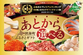 御礼！ランキング第1位獲得！あとからセレクト【ふるさとギフト】寄附1000円相当 あとから選べる！ カタログ ギフト BY0000001