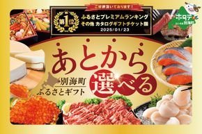 御礼！ランキング第1位獲得！あとからセレクト【ふるさとギフト】寄附1000円相当 あとから選べる！ カタログ ギフト BY0000001