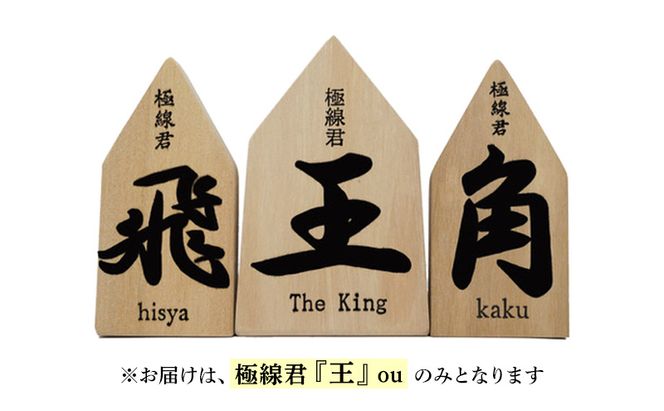 極線君『王』 ou ブラシ 掃除 エンボスブラシ ゴクセンクン オウ 超極細ステンレスブラシ コーナーブラシ 床洗浄ブラシ 日進市 愛知県