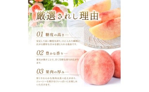 【2026年発送分先行予約】数量限定！【モモ】川中島白桃 約2kg 6個入  100個に1個の特選最上級秀品！ こだわり農家厳選！【2026年7月末から8月末順次発送】/ 和歌山県 かつらぎ町 もも 桃 高級 贅沢 特選
