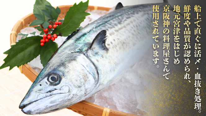サワラ 一本釣 「特選船上活〆サワラ」 鰆 さわら 京都 宮津 海鮮 海産物 