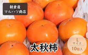 柿 太秋柿 Lサイズ×10個入 マルハツ商店 配送不可：離島 果物類 かき 