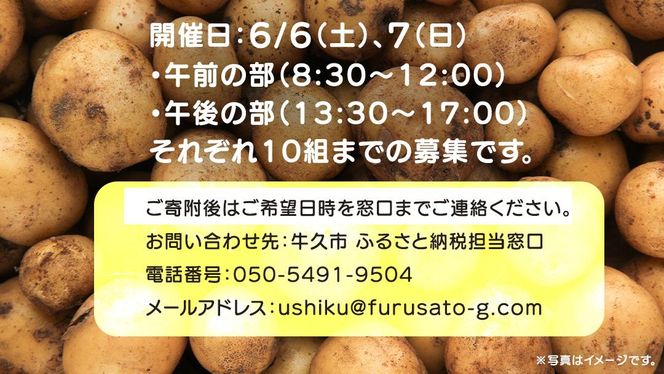じゃがいも 「 とうや 」 収穫体験 (6/6（土）、6/7（日）開催) ジャガイモ 芋 収穫体験チケット 収穫 収穫体験 体験 チケット 観光 旅行 自然 農業体験 お土産 持ち帰り