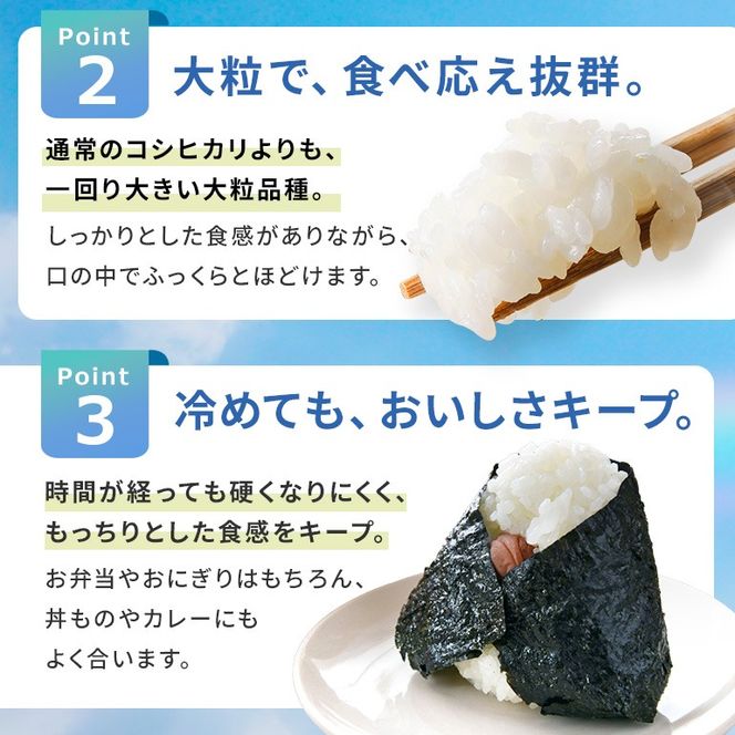 米 令和8年度 10kg にじのきらめき 選べる 10kg×1袋 5kg×2袋 新米 白米 お米 精米 ごはん ご飯 岐阜県 八百津町 産地 直送 小川さんのにじのきらめき (Y047-SKU-001)