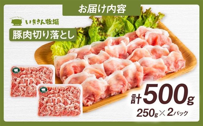 一貴山豚 切り落とし 計500g(250g×2p) 糸島市 / いきさん牧場 豚肉 冷凍[AGB056] 豚肉 豚 ブランド豚 一貴山豚 ポーク 切り落とし 肉 250g
