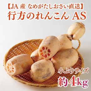 ★2026年9月より配送★ JAなめがたしおさい直送　行方のれんこんAS・約4kg（小ぶりサイズ）(AE-114)