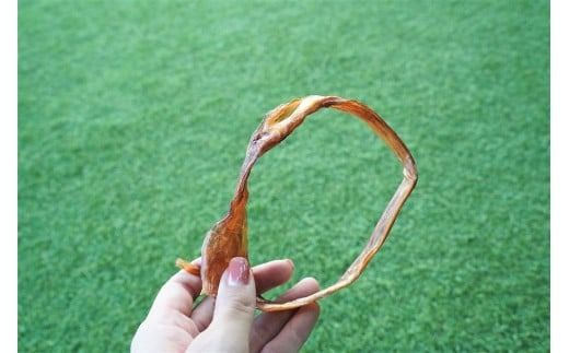【獣医師手作り】無添加 ペット用 アキレスくんせい (輪タイプ) 計300g　ジャーキー ストレス解消 歯磨き効果 燻製 犬 猫 やみつき おやつ ご褒美 馬肉アキレスを使用 H191-007