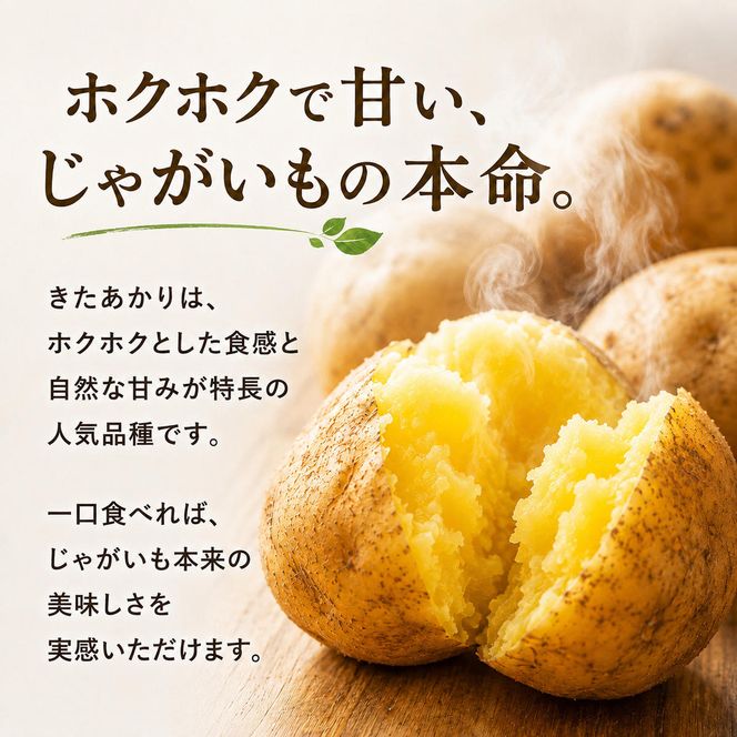 じゃがいも きたあかり 5kg 産地直送 農家直送 野菜 キタアカリ  甘い ホクホク ポテトサラダ コロッケ じゃがバター 常温 保存 備蓄 大容量 サイズ 不揃い 混合 家庭用 おうちごはん 送料無料　大河原町