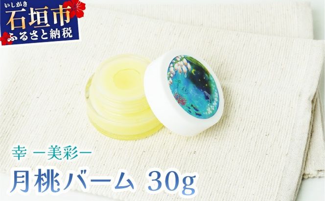 yꌧΊ_szK|ʁ|炢 o[i30gjOA-02