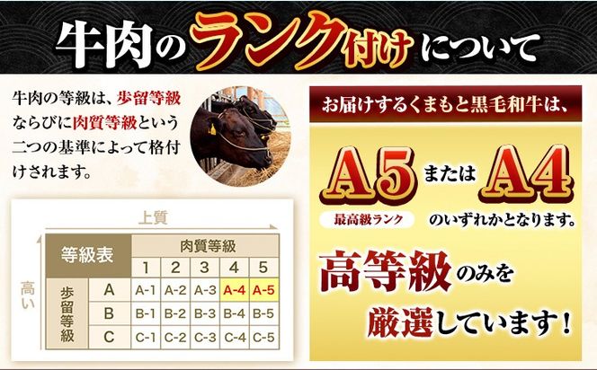 くまもと黒毛和牛 サーロイン リブロース ローススライス 600g 牛肉 冷凍 《90日以内に出荷予定(土日祝除く)》くまもと黒毛和牛 黒毛和牛 スライス 肉 お肉 しゃぶしゃぶ肉 すきやき肉 すき焼き---oz_fkkrgsrr_90d_24_18000_600g---