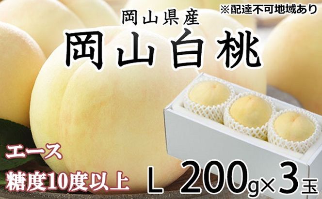 桃 2026年 先行予約 岡山 白桃 エース 3玉×約200g（Lサイズ） JAおかやまのもも（早生種・中生種） もも モモ 岡山県産 国産 フルーツ 果物 ギフト 