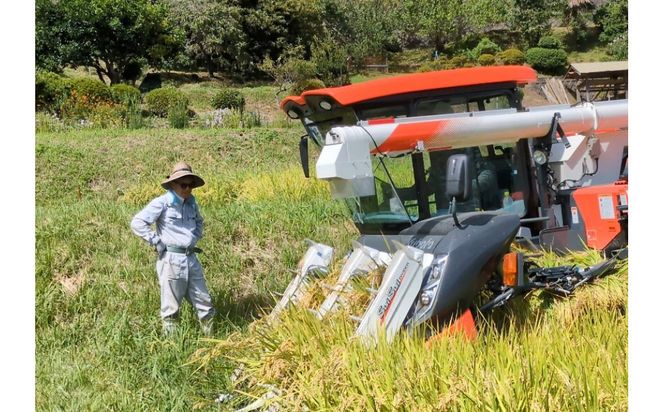 【令和7年産】有機肥料米ナオちゃんのお米【出雲市産きぬむすめ】5kg（1袋）美味しい お米 精米 有機栽培 出雲市産 322032_FX002