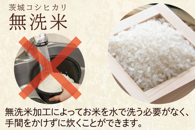 令和7年産 無洗米 茨城 コシヒカリ 10kg (5kg×２袋) 米 お米 おこめ 白米 ライス ご飯 精米 こしひかり 国産 茨城県産