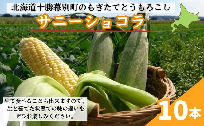 ［先行予約/2026年］もぎたてとうもろこし黄10本 [北海道ホープランド農場]【 とうきび トウモロコシ とうもろこし 野菜 夏野菜 フルーツ 北海道 十勝 幕別 】 