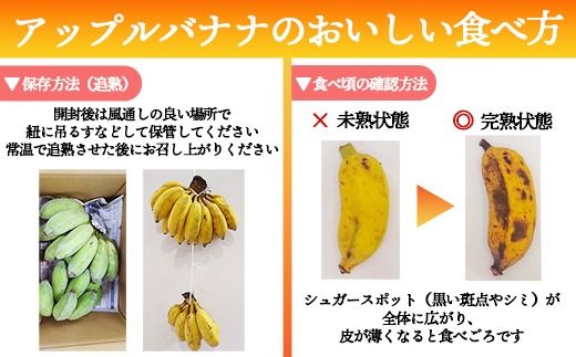 【希少栽培種】あかみね熱帯フルーツのアップルバナナ約3kg