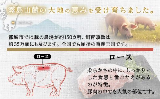 豚ロースとんかつ・ソテー用20枚 - _AA-2506_ ( 都城市 ) 豚肉 豚ロース とんかつ ソテー 100g×5枚×4パック 計20枚 豚 真空パック 冷凍保存