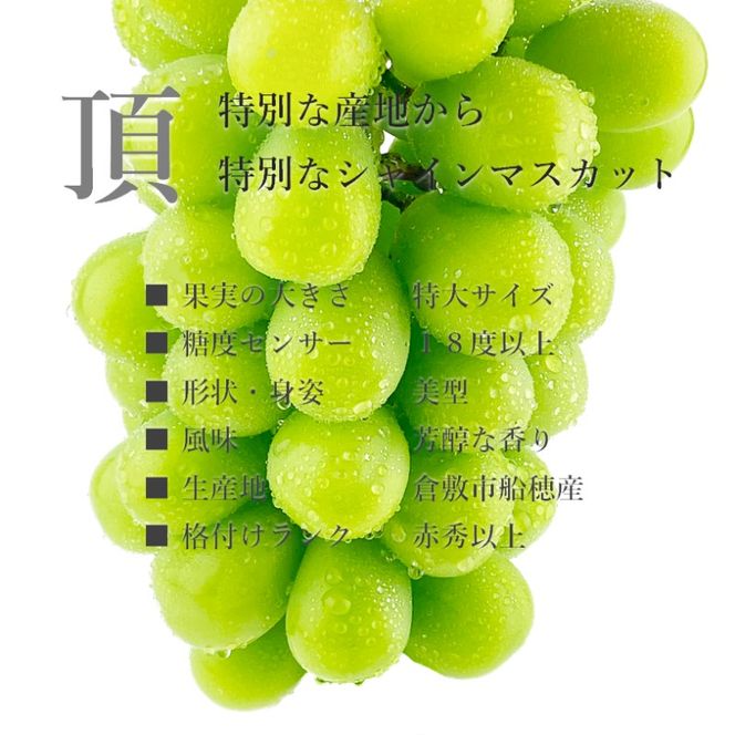 ぶどう 2026年度分 先行予約 【プレミアムシャインマスカット 晴王 1房 約650g】船穂産　赤秀品以上  岡山県産 葡萄 ブドウ ギフト ハレノフルーツ 皮ごと食べる みずみずしい 