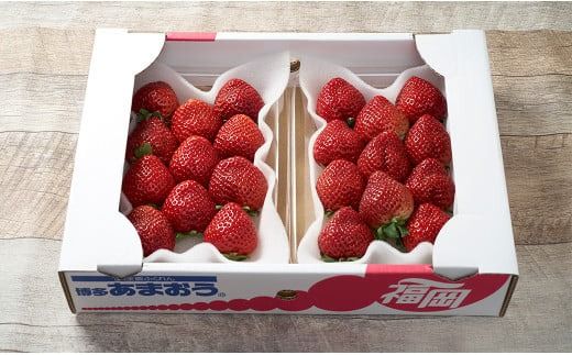 【冬】福岡産 あまおう いちご 約250～270g×2パック 【2025年12月上旬～2026年1月下旬発送予定】 大粒