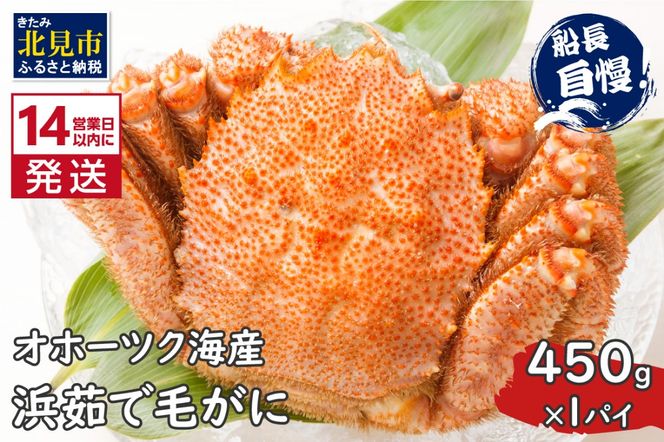 《14営業日以内に発送》オホーツク海産 浜茹で毛がに 450g×1パイ 冷凍 ( かに カニ 毛ガニ 魚介類 蟹 )【114-0019-2024】