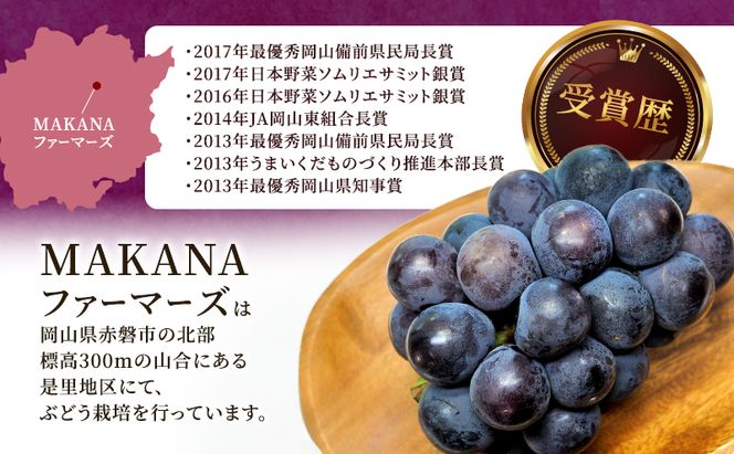 ぶどう 2026年 先行予約 オーロラ ブラック 2房（1房600g～700g） 大粒 種無し ブドウ 葡萄 岡山県 赤磐市産 国産 フルーツ 果物 ギフト MAKANAファーマーズ 果物類 オーロラブラック 