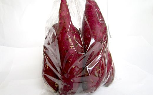 干し芋・生さつま芋セット F4N-2731