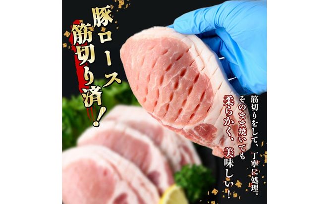 小分け・真空パック!九州産豚肉3種(計3.1kg)  a5-319