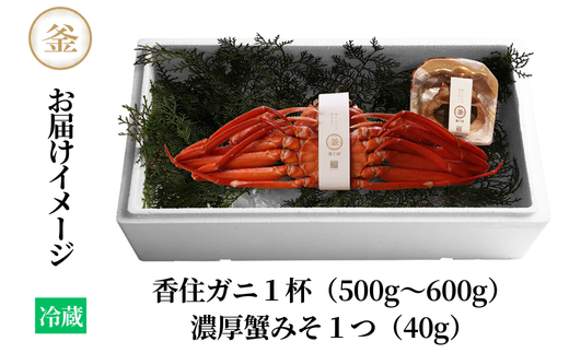 【香住ガニ 釜茹で香住ガニ1杯（500g～600g）自家製濃厚蟹みそ1個（40g）セット 冷蔵】 日本海 香住 漁港 水揚げ 新鮮 紅 べに ずわいがに ベニ ズワイガニ 国産 カニ 蟹 かに 甲羅みそ かにみそ カニミソ 蟹味噌 出汁 だし カニ身 濃厚 兵庫県 香美町 カネリョウ 39-01