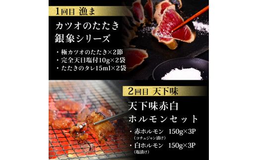 【CF-R7hbk】t112kgp-tka　漁ま＆天下味“土佐人気料理店”芸西村本気の5か月定期便（お二人様満喫用）／1回目：カツオのたたき 銀象シリーズ、2回目：赤白ホルモン、3回目：塩昆布熟成赤身＆中トロ、4回目：カツオのたたき 土佐にんにくぬたシリーズ、5回目：うなぎの蒲焼〈大〉