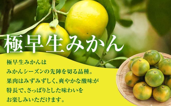 有田みかん専門店 有田の太陽®ファミリー 極早生 有田みかん 2.5kg＋補償分100g 山採れ・サイズ・等級 混合 FH01