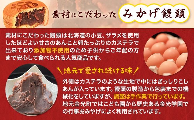 饅頭 まんじゅう みかげ饅頭 15個 金悦堂《30日以内に発送予定(土日祝除く)》 和菓子 お茶請け 岡山県 浅口市---124_70_30d_23_11000_15---