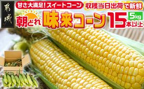 【先行受付】朝どれ!!都城産スイートコーン(味来コーン)5kg 15本以上_12-B401-6_(都城市) 朝どれ とうもろこし スイートコーン 5キロ 約15本以上 産地直送 みずみずしい あまい
