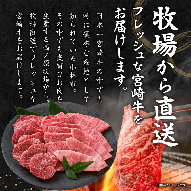 【西ノ原牧場直送】大人気！A4等級以上宮崎牛バラエティ焼肉用 400g（国産 国産牛 肉 牛肉 宮崎牛 黒毛和牛 お肉 ロース 焼肉 内閣総理大臣賞4大会連続受賞 特別提供）