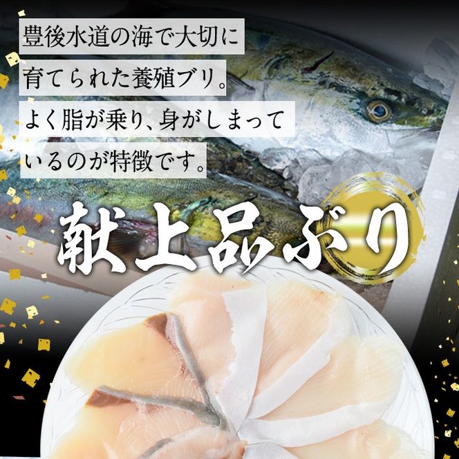 特製ごまだしで食べる！ブリしゃぶセット (合計400g・佐伯産かぼすぶり200g・献上品ぶり200g) 魚 さかな 鰤 鰤しゃぶ ぶりしゃぶ スライス 養殖 冷凍 お取り寄せ【AQ95】【(株)やまろ渡邉】