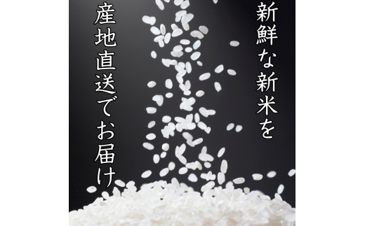 和歌山県産 キヌヒカリ 10kg (2026年産)  / 産地直送 米 こめ ご飯 ごはん ※9月上旬より順次発送予定 【sml400-kinu-10E】