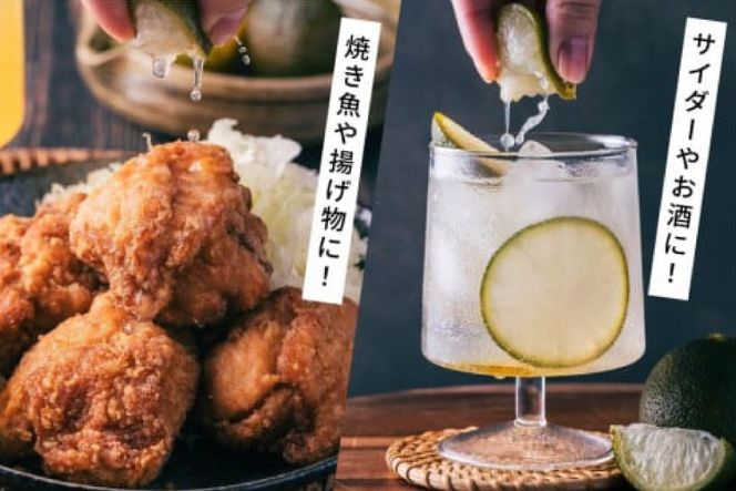 焼酎 へべす果汁とあくがれブルー ミニ 各1本 晩酌セット [日向市観光協会 宮崎県 日向市 452061425] 晩酌 セット へべす ヘベス 果汁 へべす果汁 ヘベス果汁 あくがれ あくがれブルー