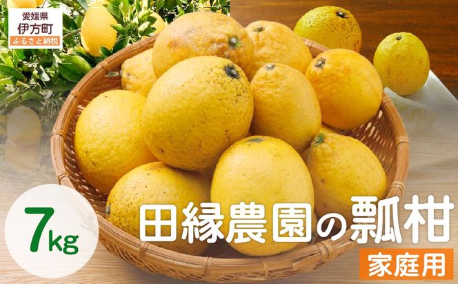 yQɕzyʌzƒp Z(7kg) 󂠂 kCEEւ̔zs ւ̔zs i2026N41菇j IKTA021