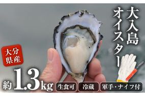 真ガキ 大入島オイスター (約1.3kg) 牡蠣 カキ 貝 海鮮 魚介類 冷蔵 生食可 シングルシード 養殖 大分県 佐伯市【ED08】【(合)新栄丸】