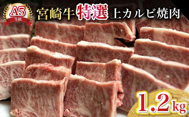【新鮮チルド発送!!】A5等級宮崎牛特選上カルビ焼肉 1.2kg（黒毛和牛 牛肉 宮崎牛 赤身 カルビ 焼肉用 宮崎県）