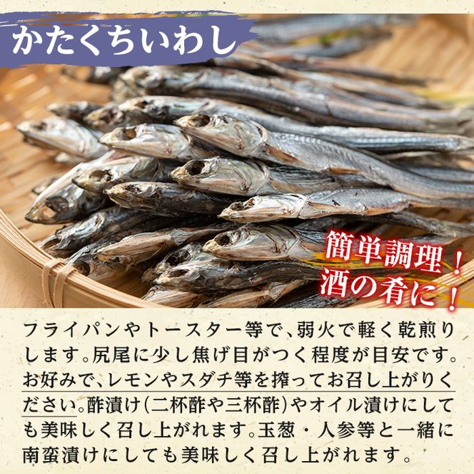 鹿児島県阿久根市産生干し「かたくちいわし」(計5袋・1袋40g)国産 魚介 干物 イワシ 鰯 がらんつ干物【マルフク川畑水産】akn029-08