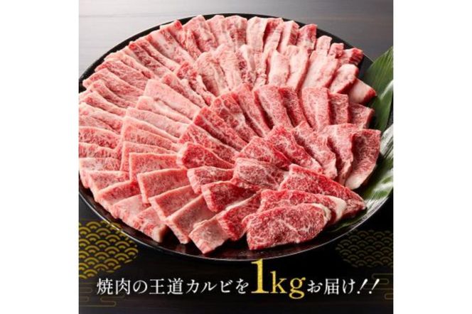 y򕌌szˋJr1kgi500g×2jy0016-055z