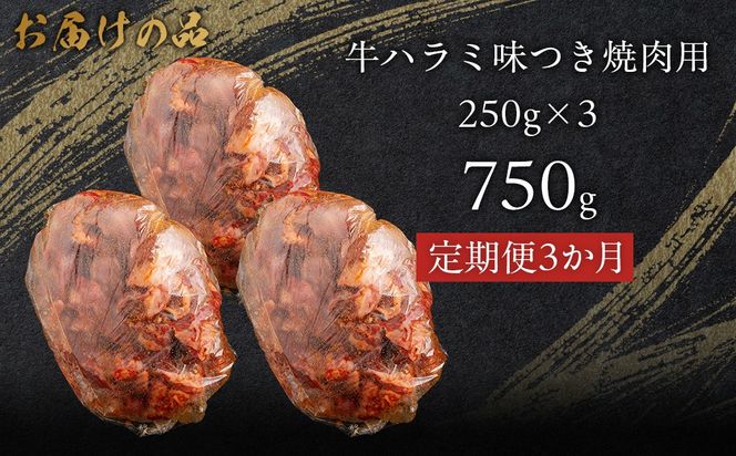 【3か月定期便】牛ハラミ味つき焼肉用 750g (250g×3)  MROBM044