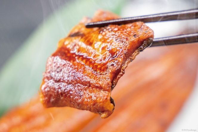 うなぎ 国産 静岡 定期便 蒲焼 150g以上 2尾 6回 総計12尾 [大井川うなぎ 静岡県 吉田町 22424566] 静岡県産 鰻 ウナギ ungai 蒲焼き うなぎ蒲焼き 鰻蒲焼 タレ たれ 山椒 真空パック 冷凍