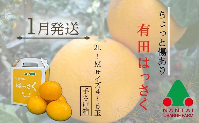 有田川町後継者応援定期便 1月発送 ちょっと傷あり 八朔（4～6玉） と 2月発送 天然醸造醤油＆特製だしぽん酢 【南泰園・カネイワ醤油】ARD08